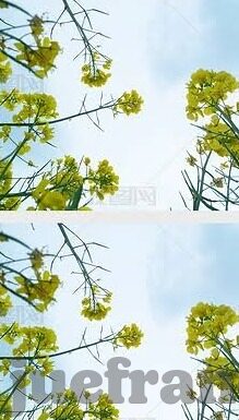 麻豆看片app-逾界观影，揭秘麻豆看片APP的背后