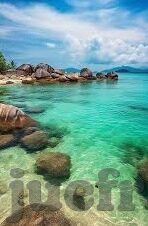 人妻色网-探寻人妻色网背后的情感与文化交织